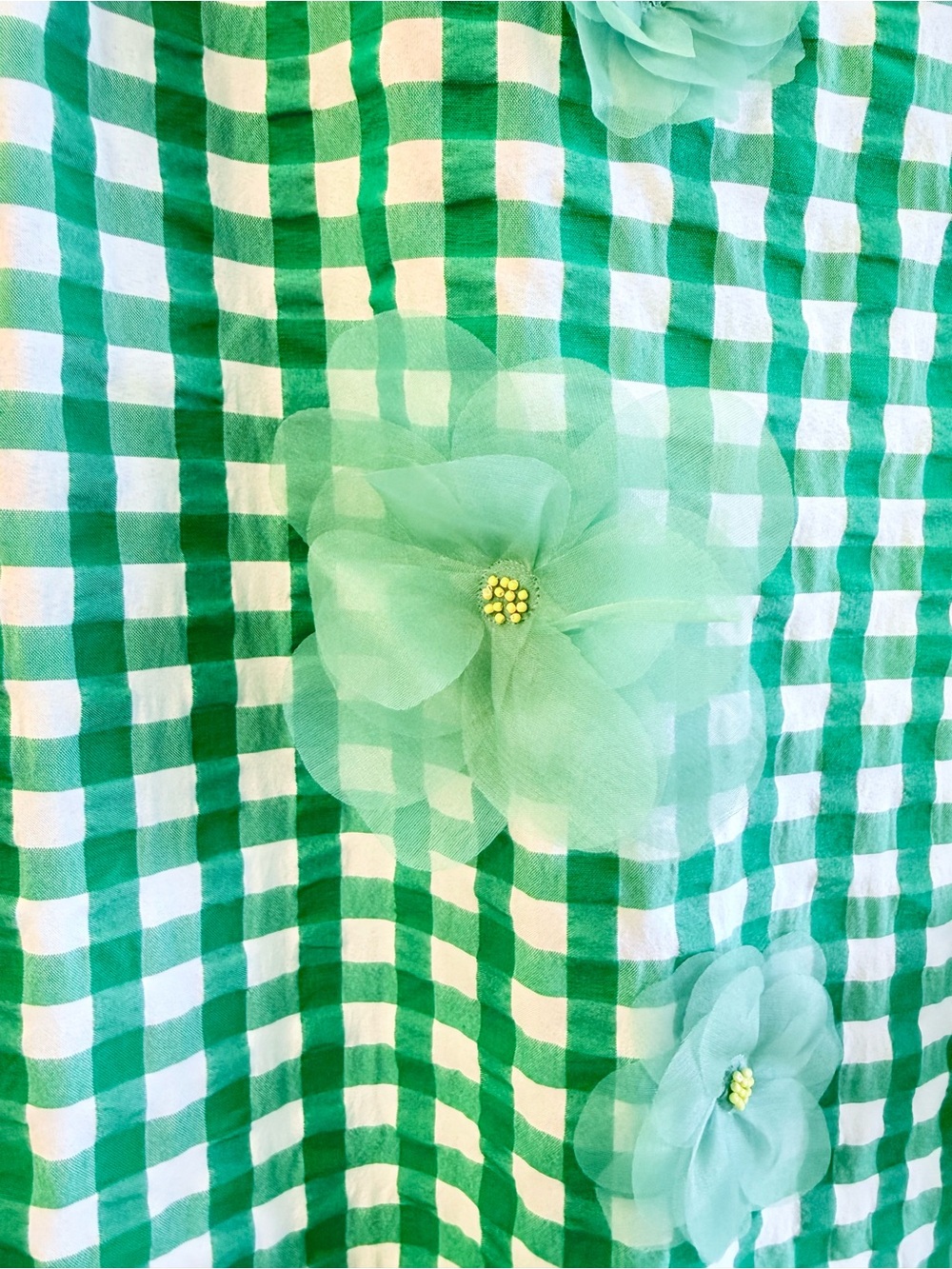 Frances Valentine Green Gingham Midi Dress with 3D Floral Appliqués - Picture 5 of 7